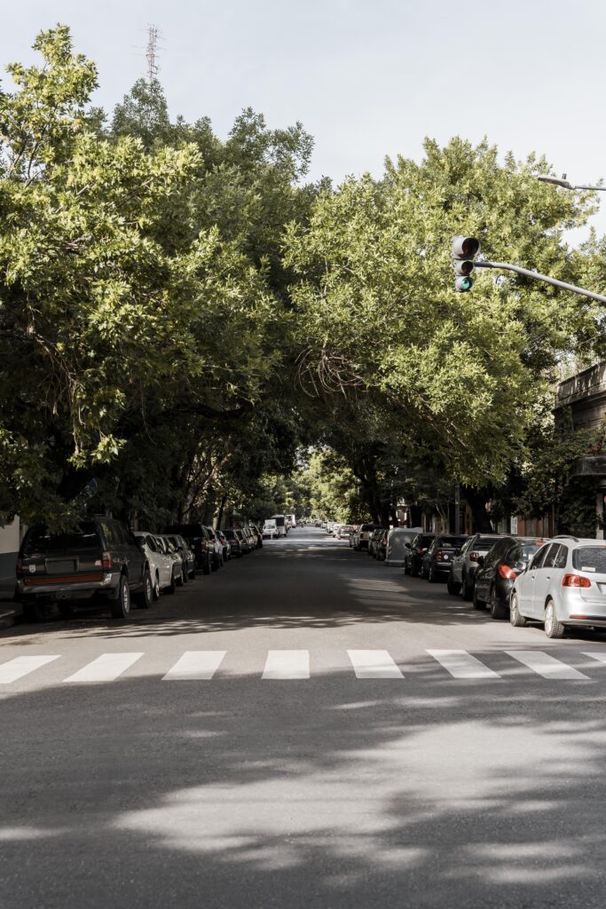 Vue d’une rue en ville bordée d’arbres, mettant en avant un environnement urbain agréable et un cadre de vie recherché.