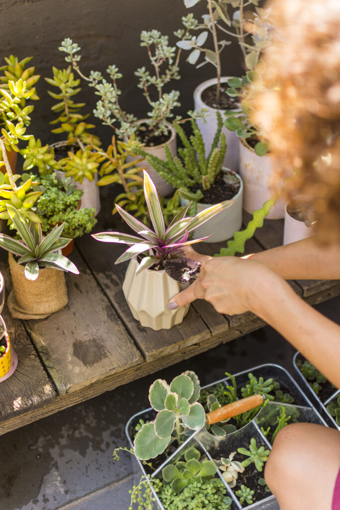 Vue en plongée d’une femme prenant soin de ses plantes à la maison.