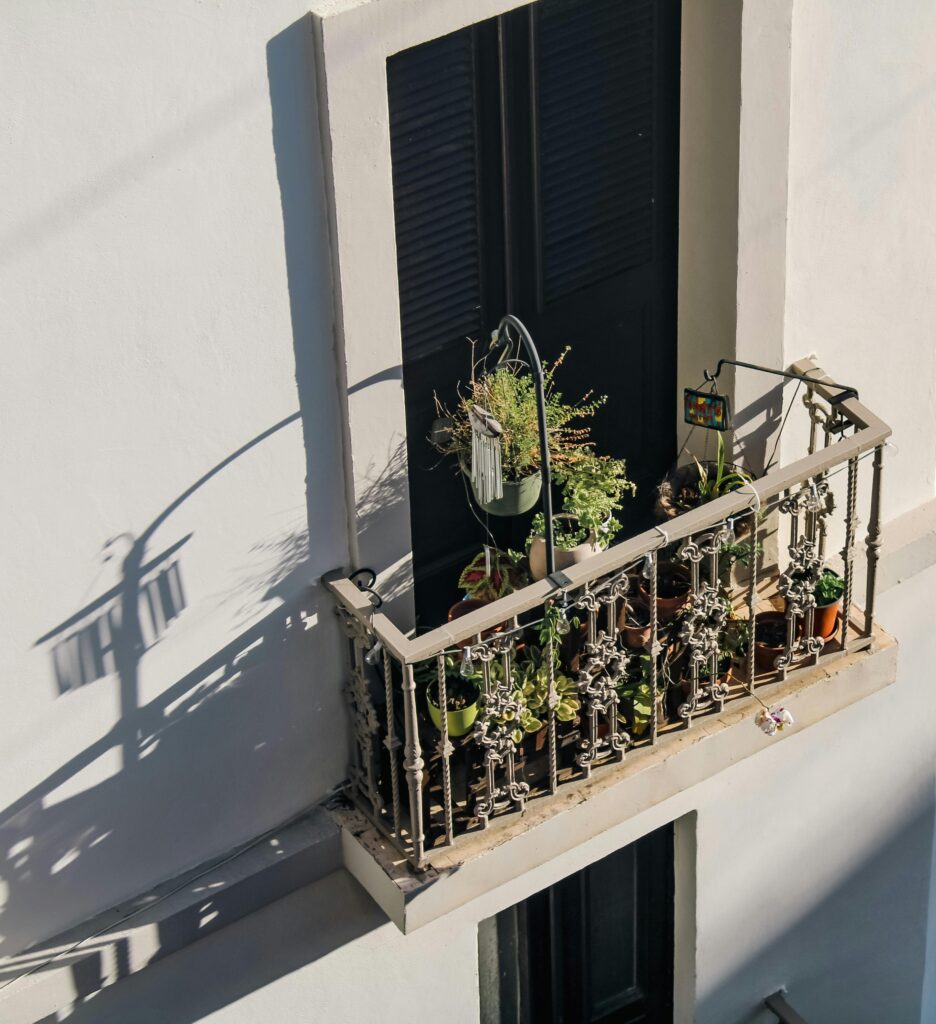 Balcon ensoleillé avec plantes dans un environnement urbain.