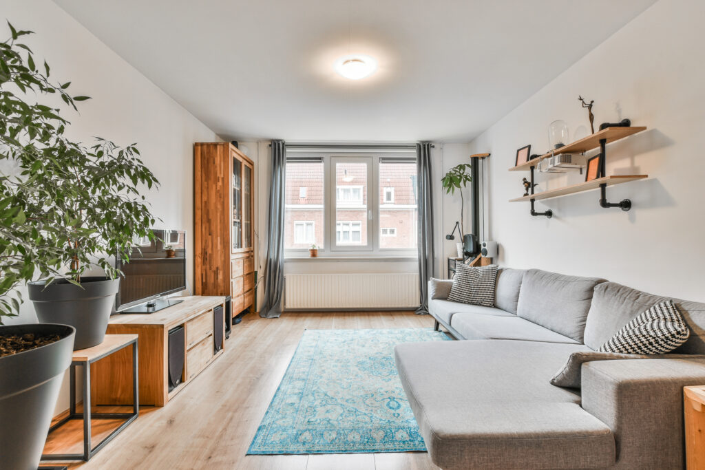salon appartement moderne intérieur cosy décoration logement