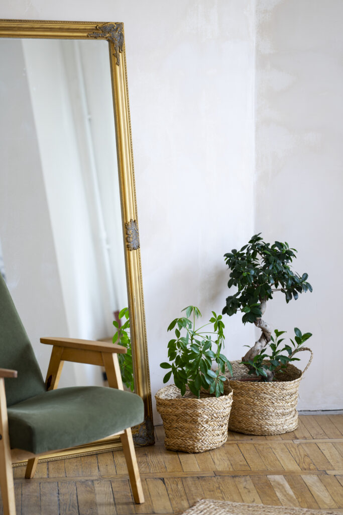Pièce avec plantes en pot, fauteuil et miroir dans un intérieur chaleureux.
