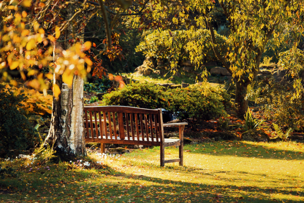banc parc espace vert détente nature cadre de vie