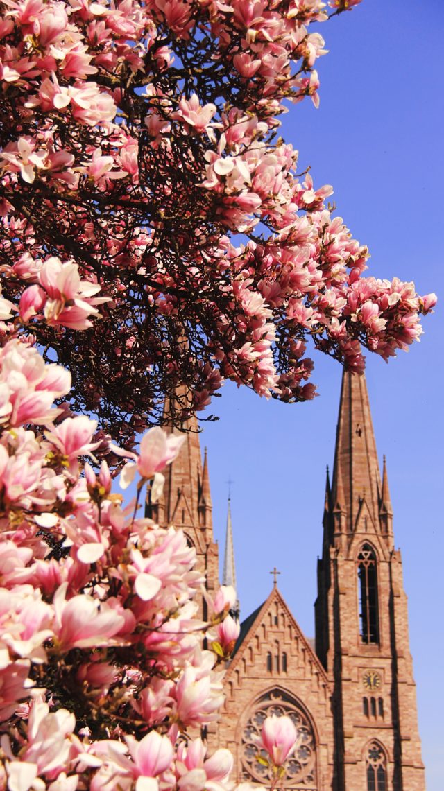 strasbourg printemps