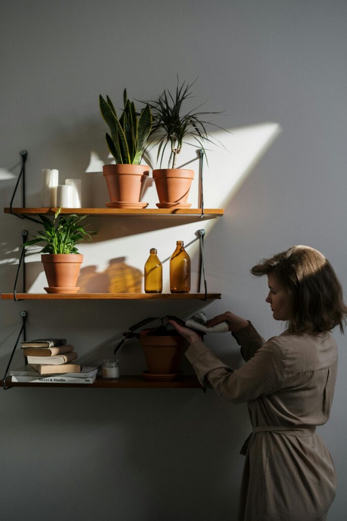 plantes jardin été chaleur