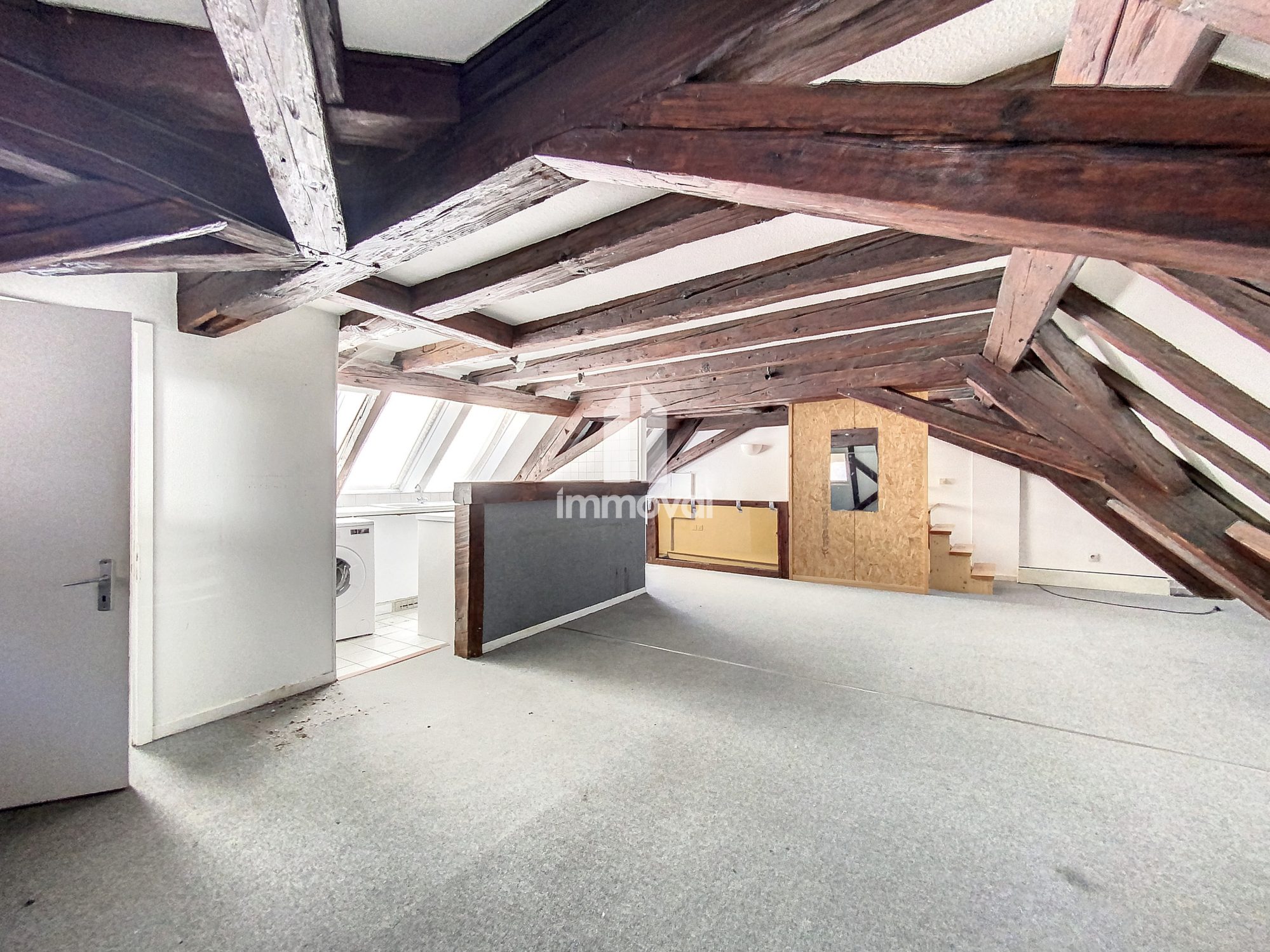 KRUTENAU attique de 32m² et 81m² sol