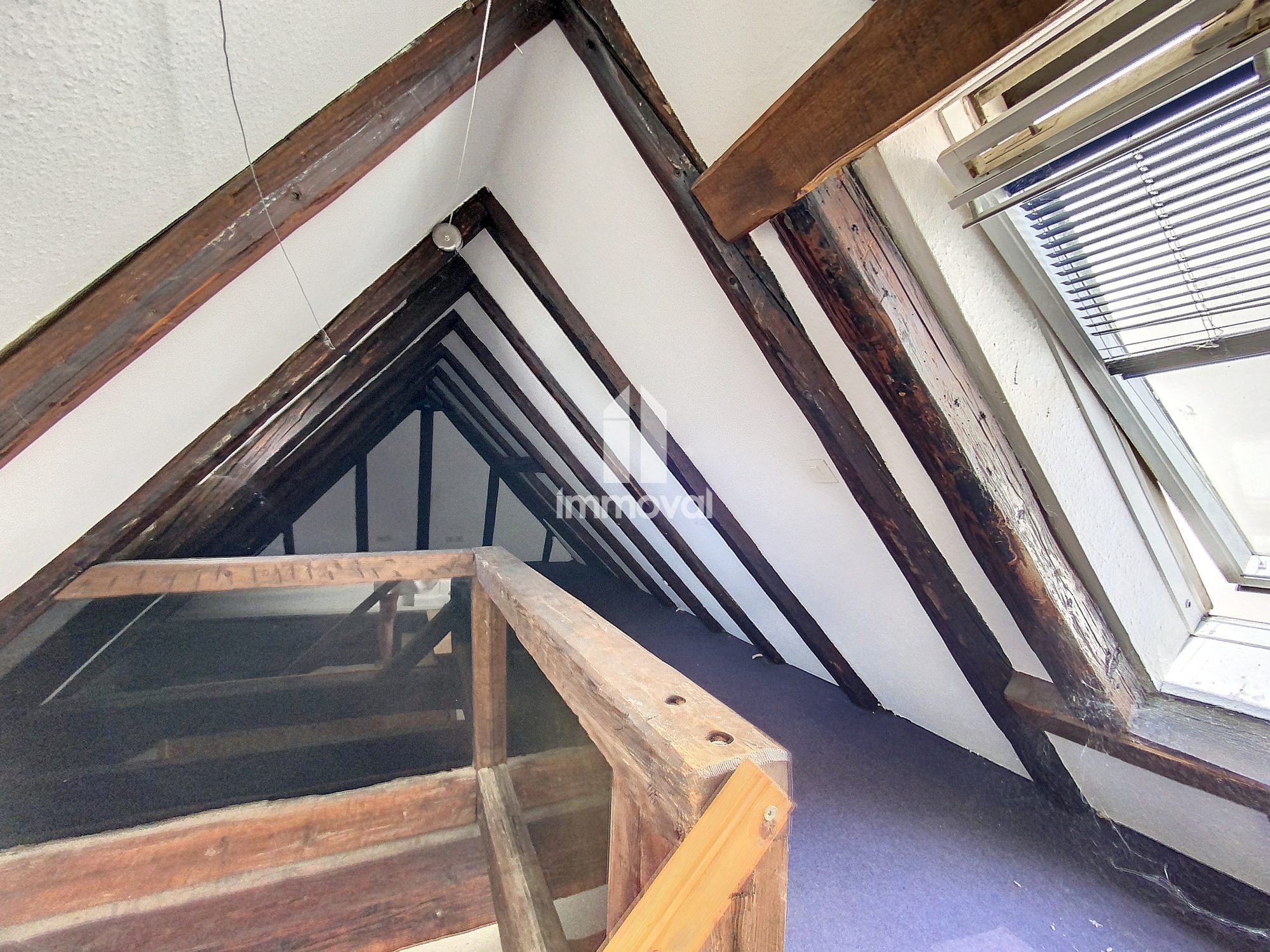 KRUTENAU attique de 32m² et 81m² sol