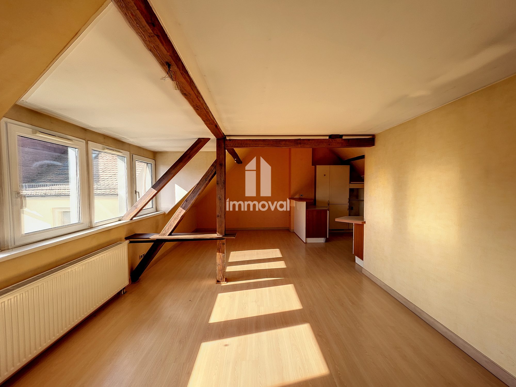 SCHILTIGHEIM / Appartement 3P / 71m²