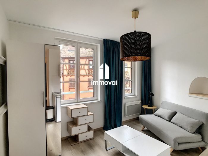 PETITE FRANCE - STUDIO MEUBLE - 16.00m²