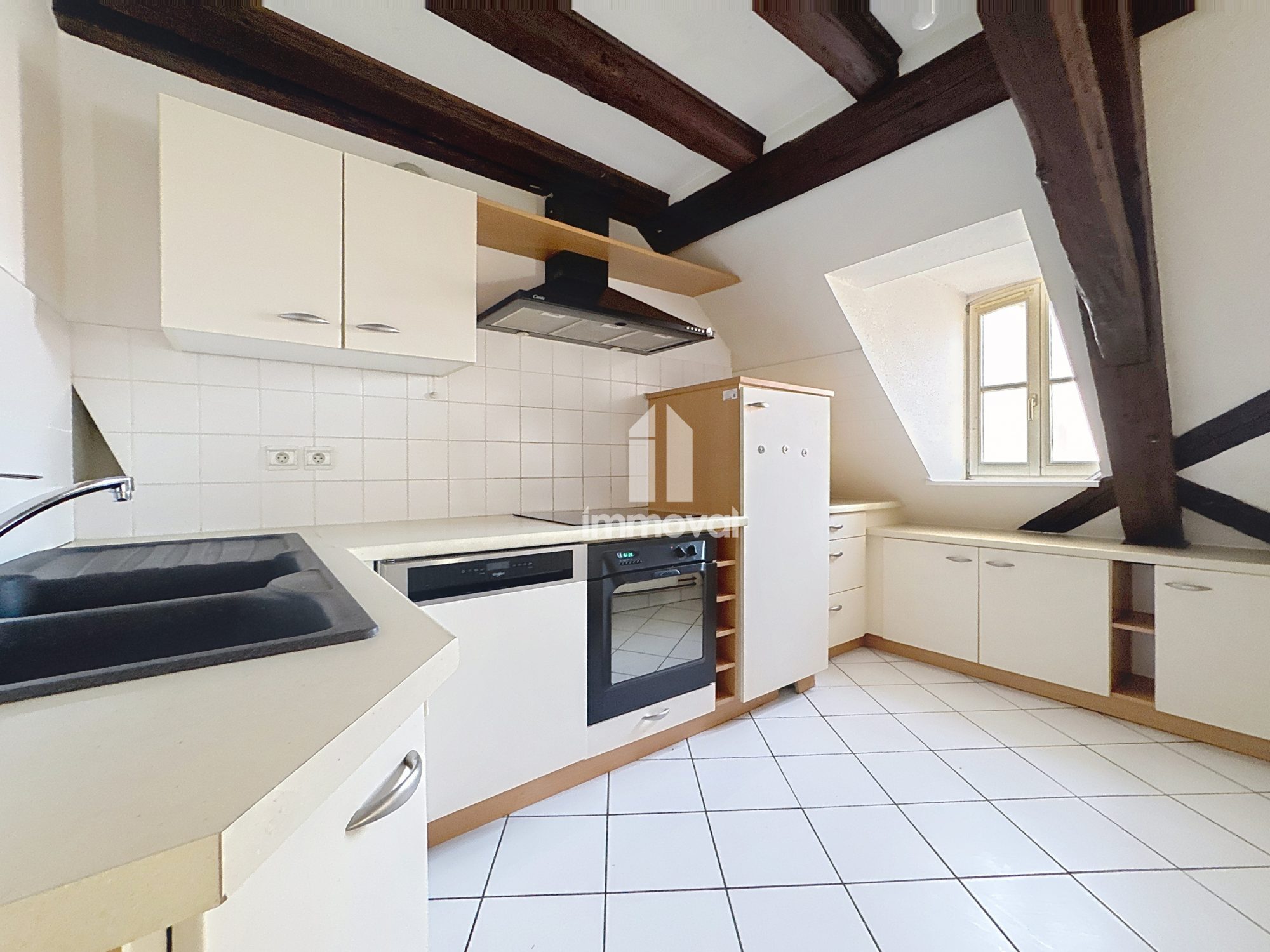 TRIPLEX 98 M2 STRASBOURG CENTRE VUE CATHEDRALE