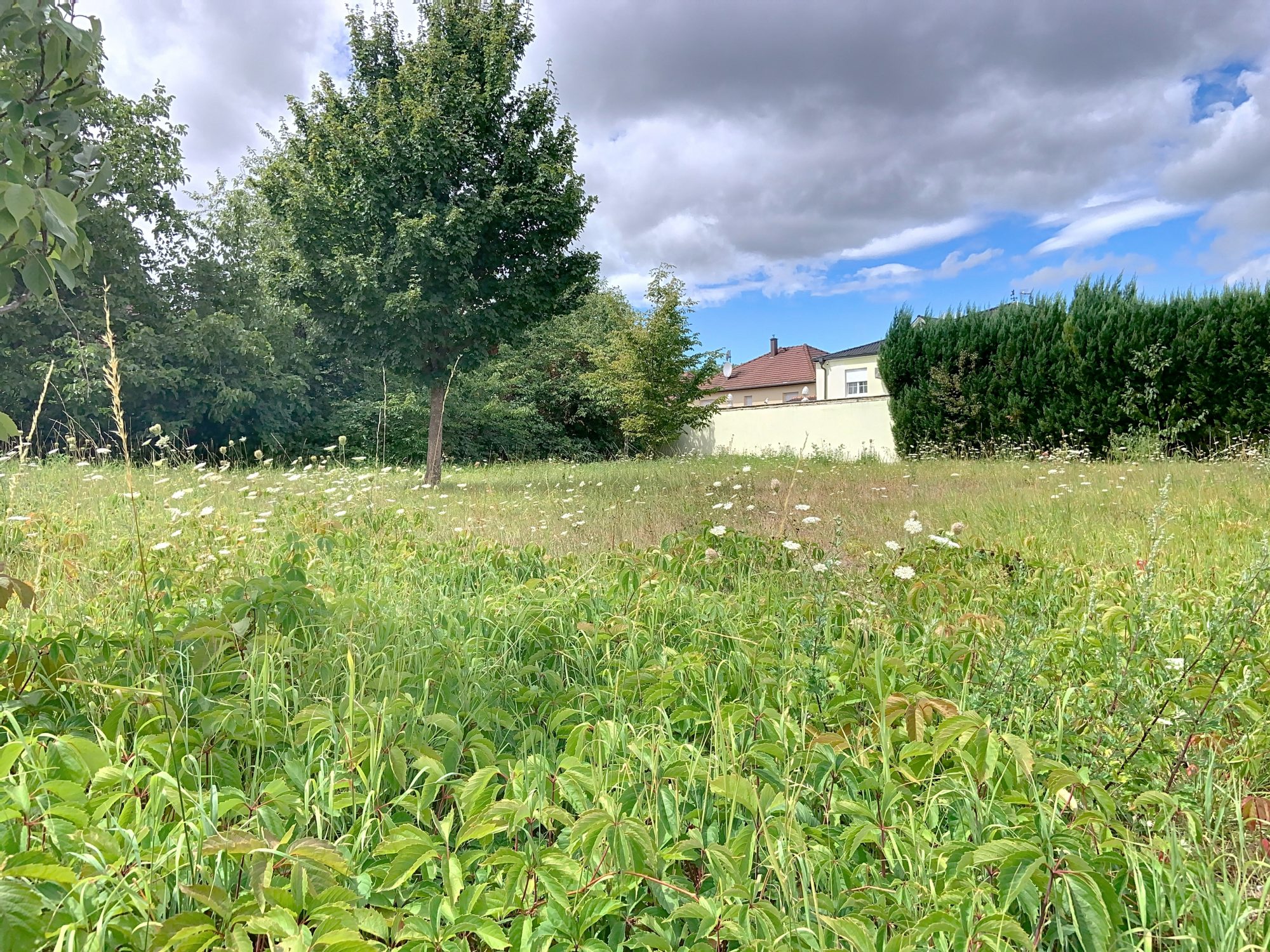 Lingolsheim, terrain à bâtir de 863m2