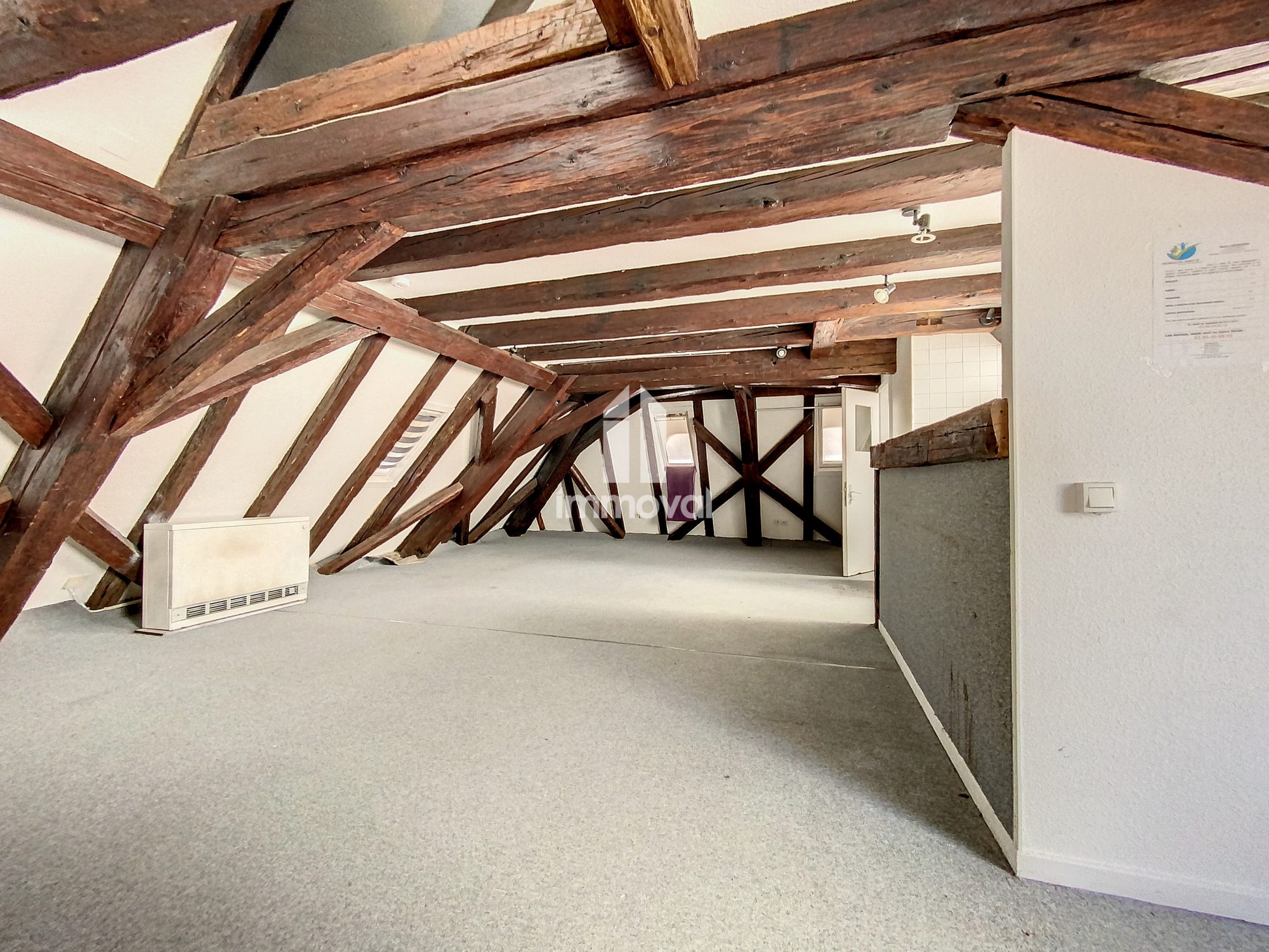 KRUTENAU attique de 32m² et 81m² sol Projet rénovation