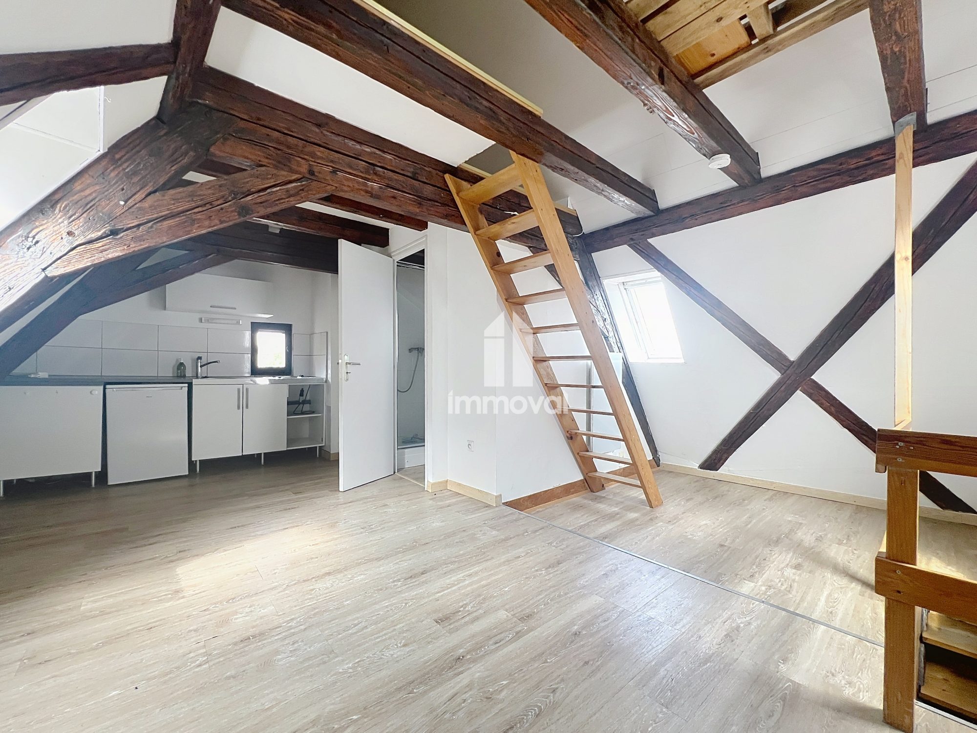 PETITE FRANCE - IMMEUBLE 7 LOTS D'HABITATION - 207m²