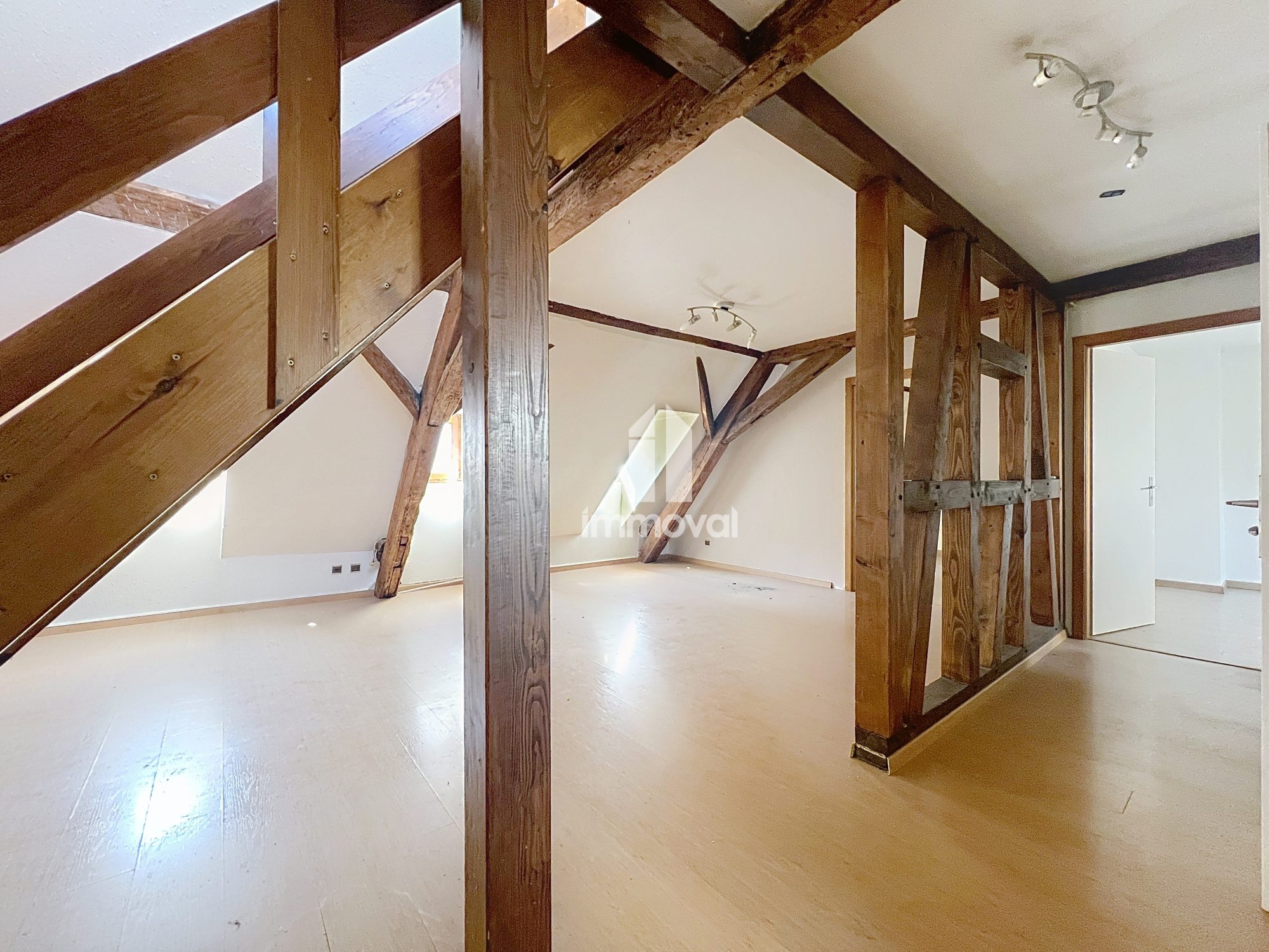 CENTRE VILLE - T3/4 - 62.20M² hab/113 m² au sol
