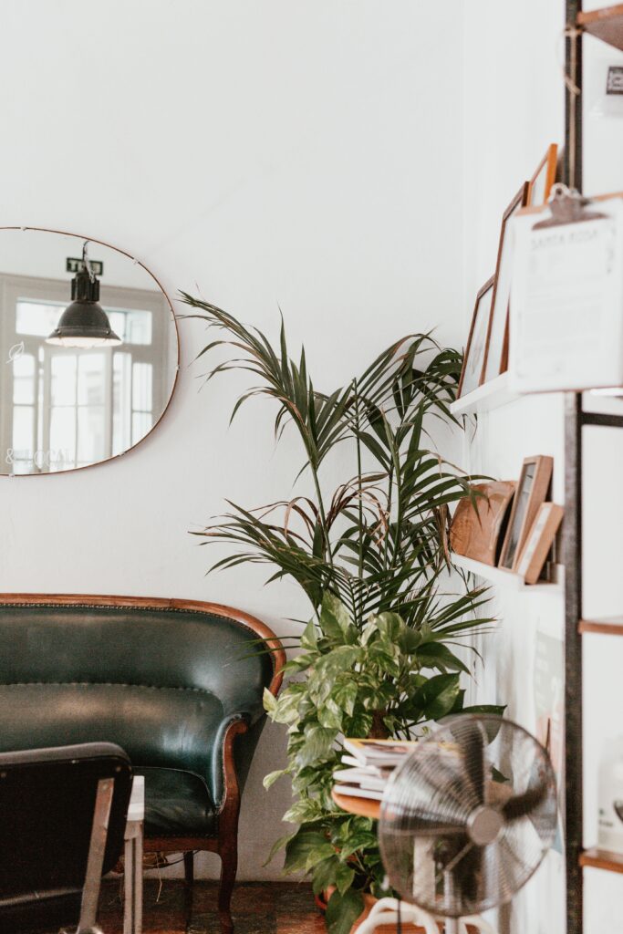 investissement immobilier Strasbourg