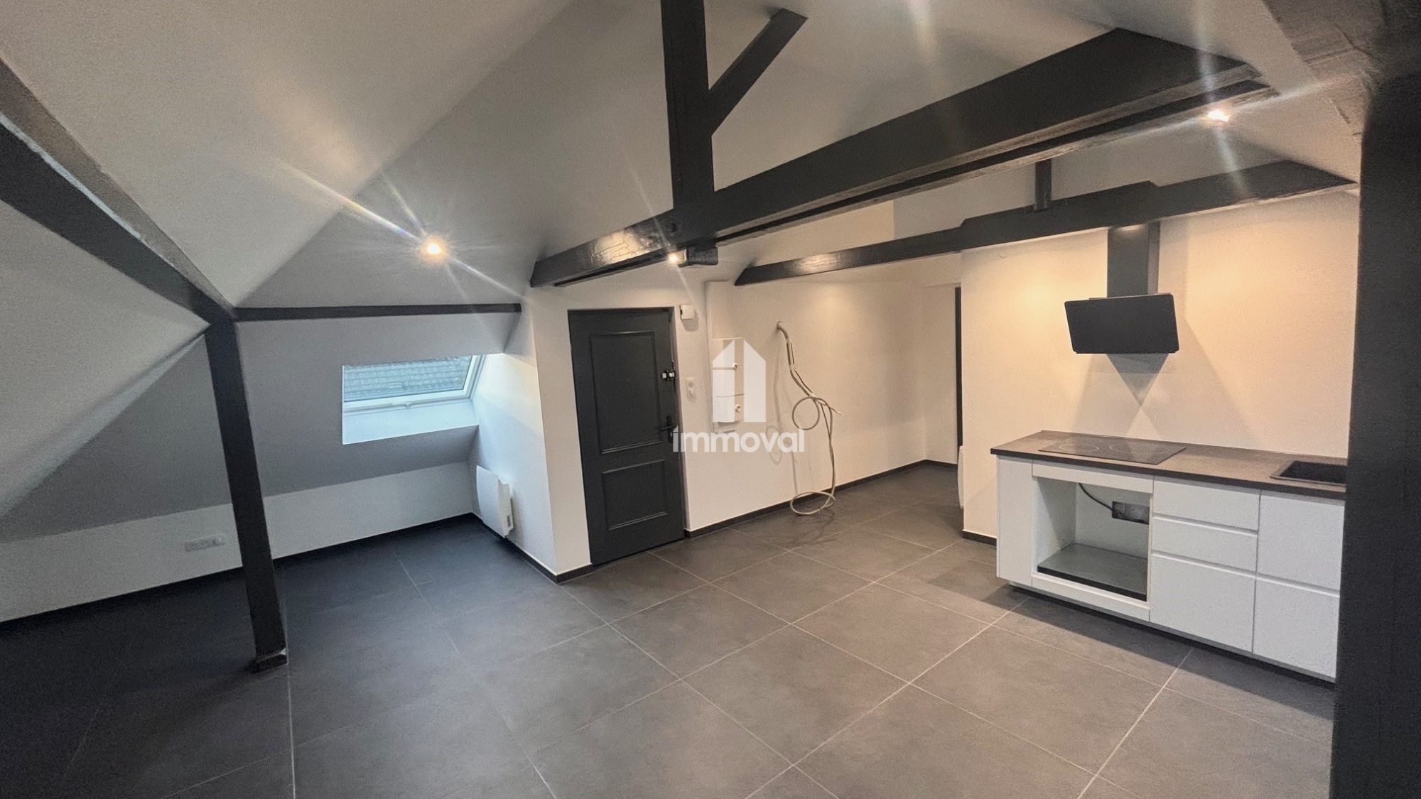 GEISPOLSHEIM - 2P - 38.85m² (76.39m² au sol)