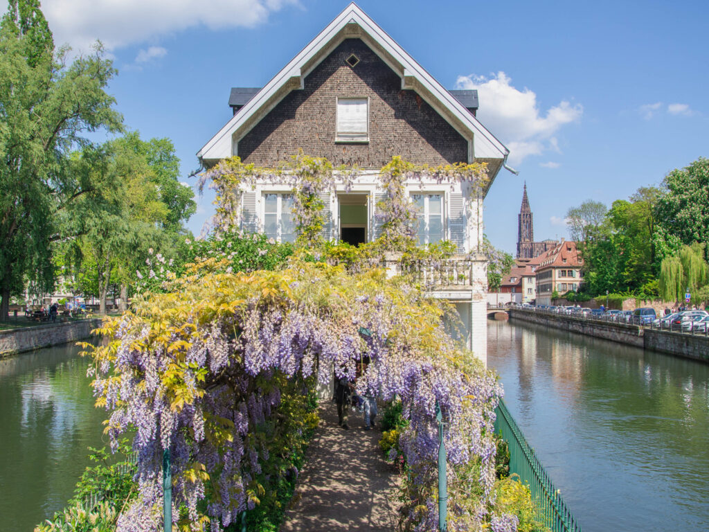 Quartier Petite France Strasbourg