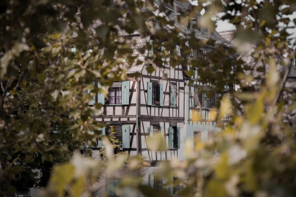 clemence bergougnoux lj88ukorzgu unsplash