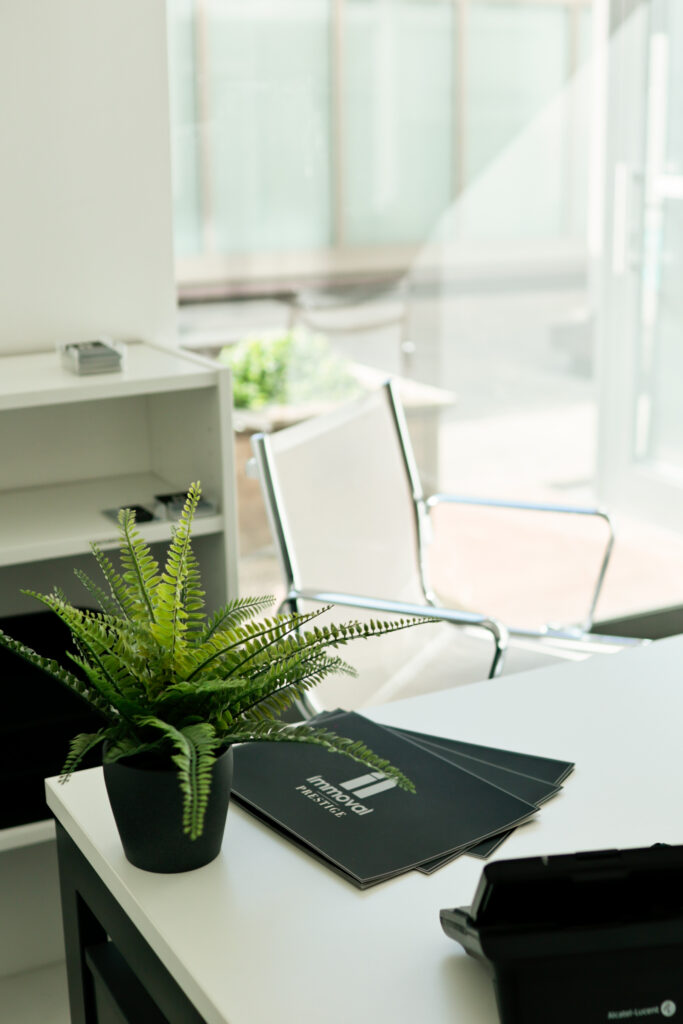 bureau plante sérénité agence Immoval environnement professionnel apaisant