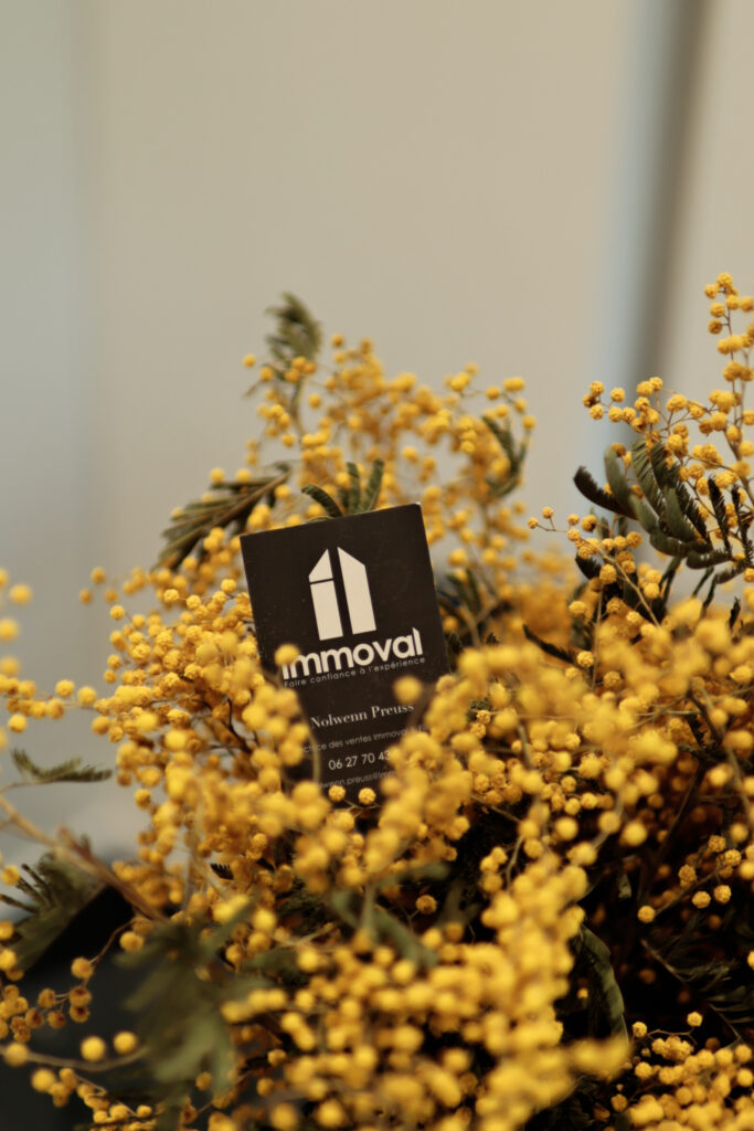 agence immobiliere strasbourg