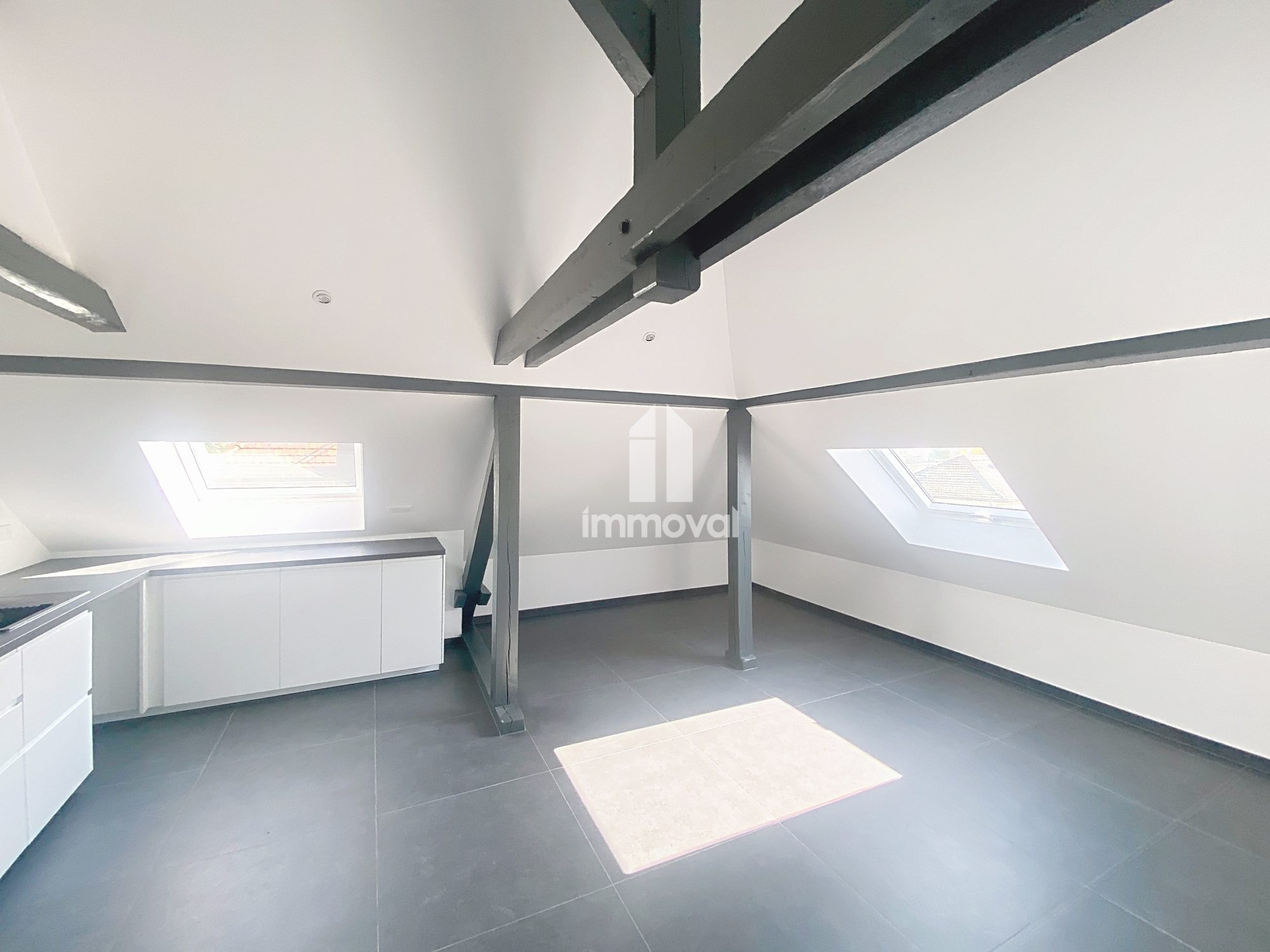 GEISPOLSHEIM - 2P - 38.85m² (76.39m² au sol)