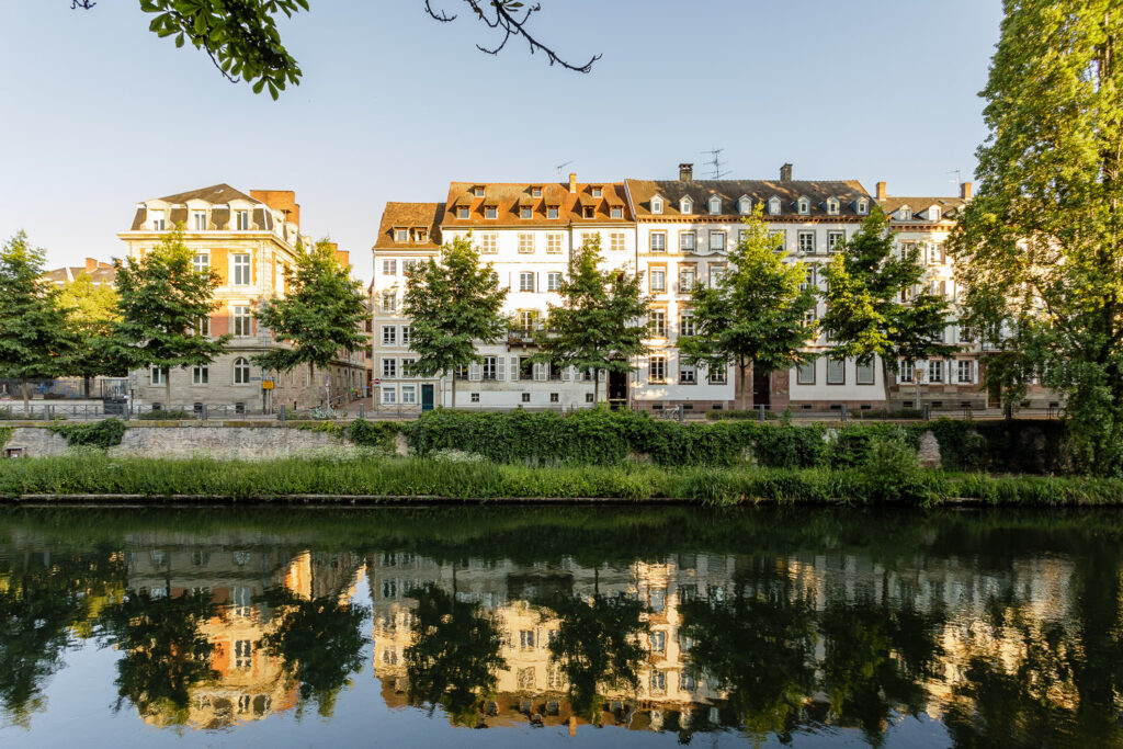 immoval halles 1