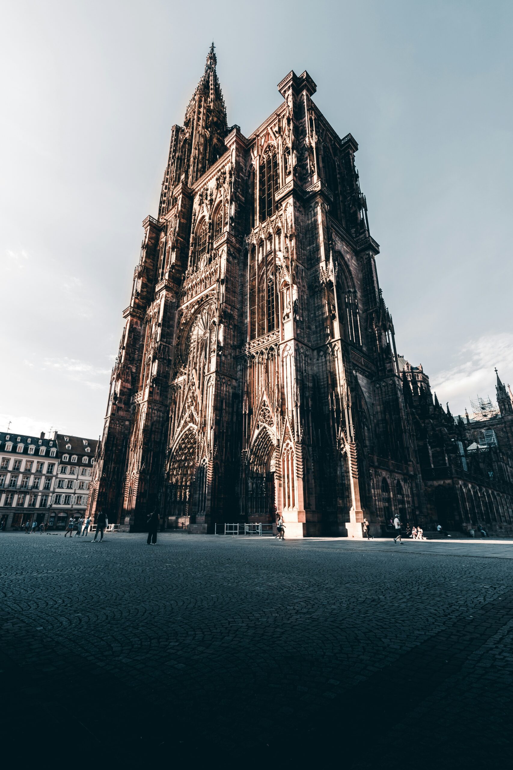 jonathan marchal djuu2 k3f3e unsplash