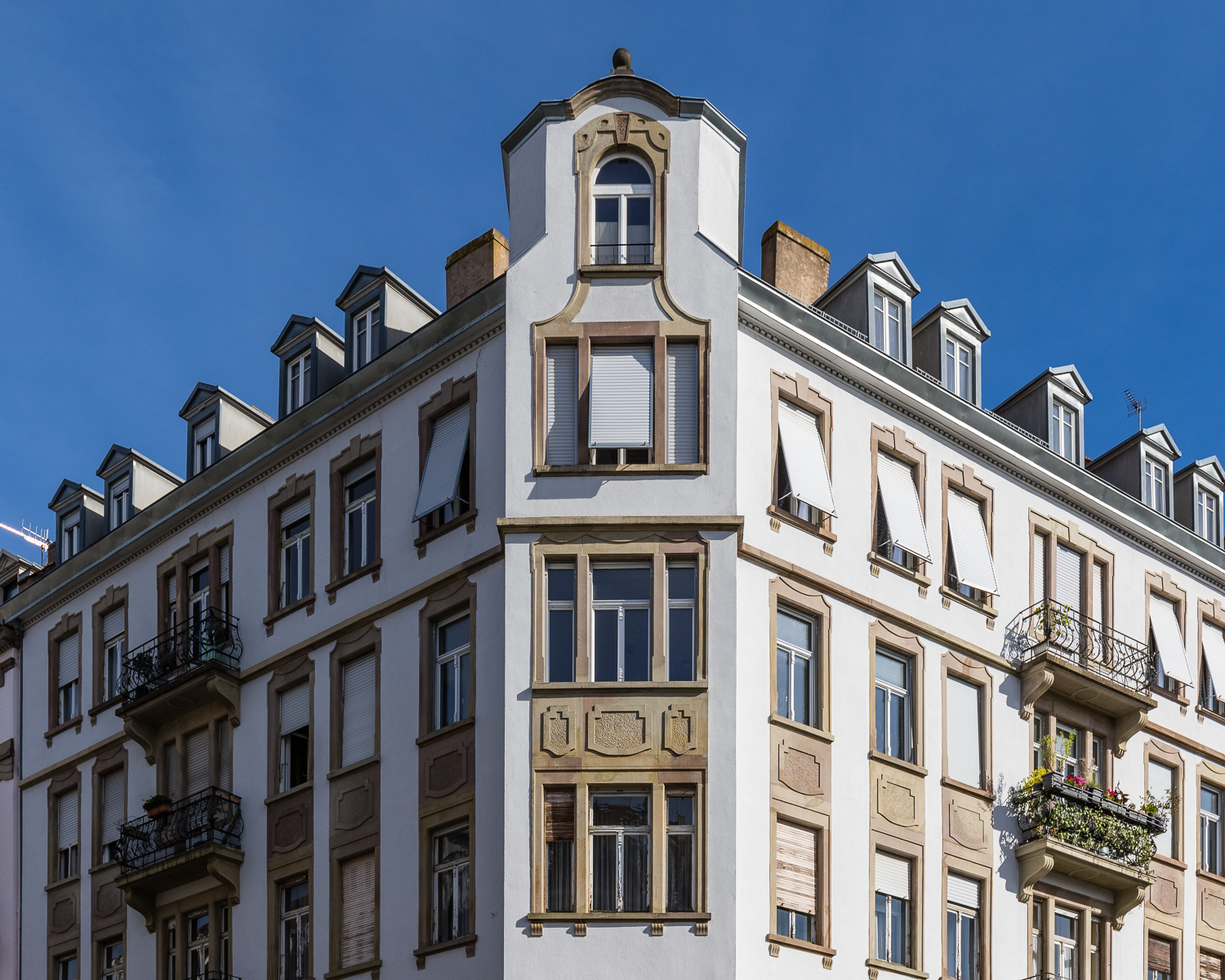quartier observatoire strasbourg immoval